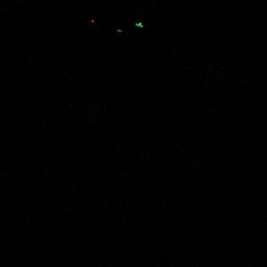 Meet your Posher, Usha